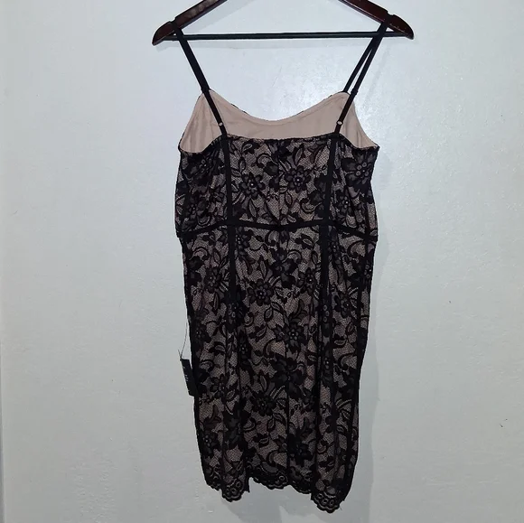 NWT LULU'S Swest Little Number Lace Mini Dress - Picture 7 of 8